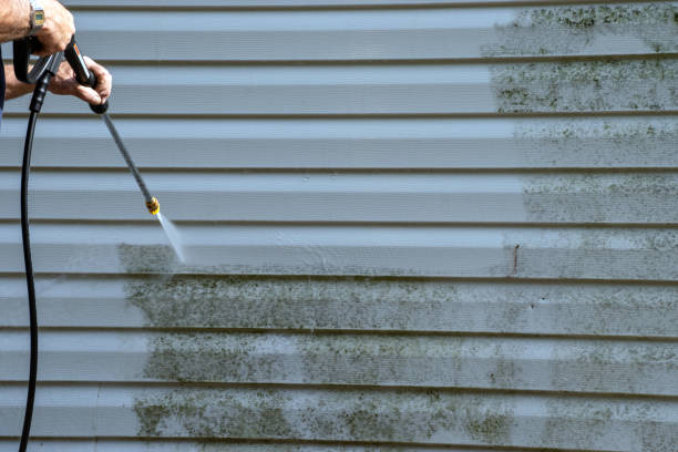 Professional Siding Installation in Baidland, PA