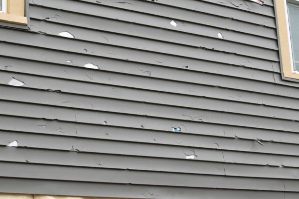 Best Vinyl Siding Installation  in Baidland, PA